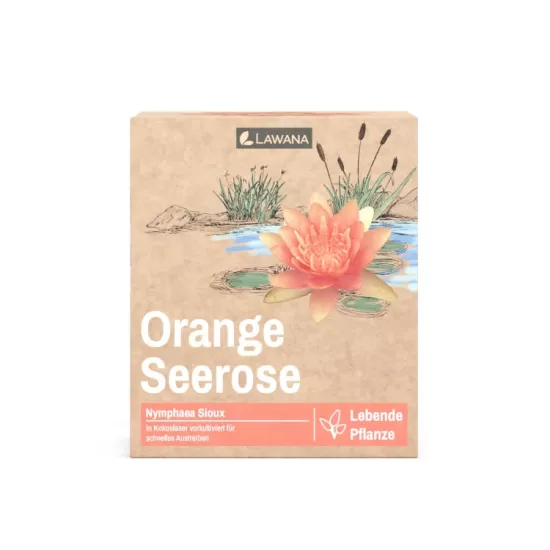 Водна лилия оранжева (Lawana Nymphaea Natura Coco Sioux) - 3