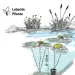Водна лилия жълта (Lawana Nymphaea Natura Coco Sulphurea) - 3
