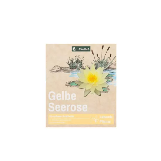 Водна лилия жълта (Lawana Nymphaea Natura Coco Sulphurea) - 2