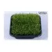 Мъх Peacock moss - 2