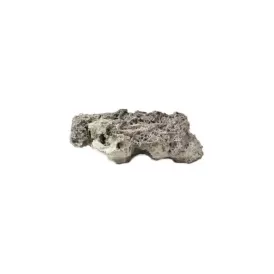 Reef rock, plate shape