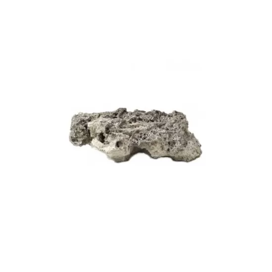 Reef rock, plate shape - 1
