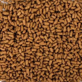 Храна за костенурки Tropical Biorept Suprime Young 