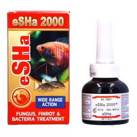 eSHa 2000