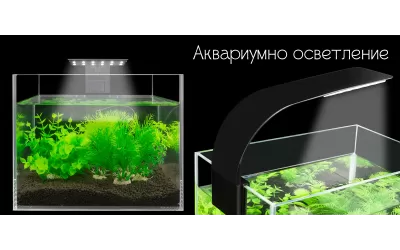 Аквариумно осветление