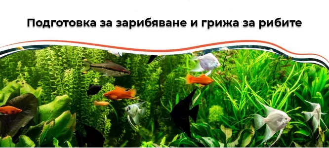 Подготовка за зарибяване и грижа за рибите