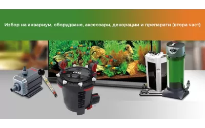 Избор на аквариум, оборудване, аксесоари, декорации и препарати (втора част)