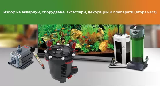 Избор на аквариум, оборудване, аксесоари, декорации и препарати (втора част)