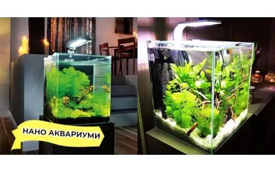 Нано аквариуми