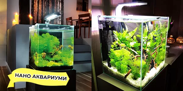 Нано аквариуми