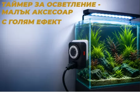 Таймер за осветление – малък аксесоар с голям ефект