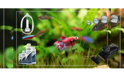 Избор на аквариум, оборудване, аксесоари, декорации и препарати (четвърта част)