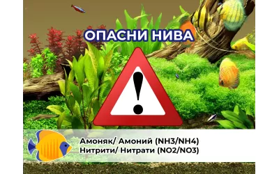 Как да се справим с високите нива на нитрати, нитрити и амоняк?