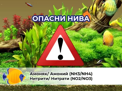 Как да се справим с високите нива на нитрати, нитрити и амоняк?