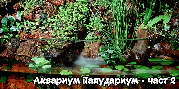 Аквариум Палудариум - част 2