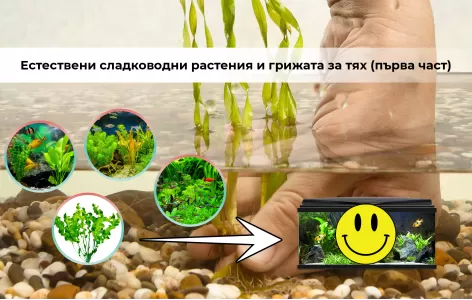 Естествени сладководни растения и грижата за тях (първа част)