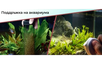 Поддръжка на аквариума
