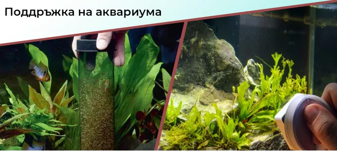 Поддръжка на аквариума