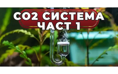 CO2 система - част 1