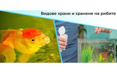 Видове храни и хранене на рибите