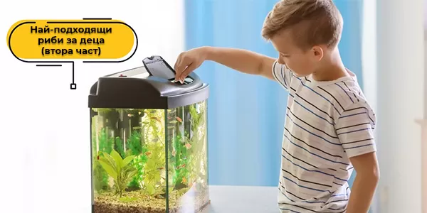 Най-подходящи риби за деца (втора част)