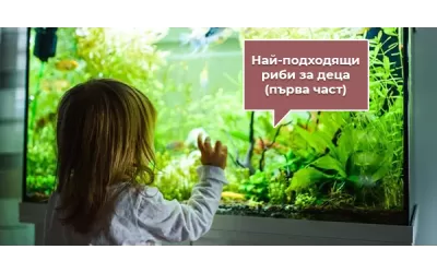 Най-подходящи риби за деца (първа част)