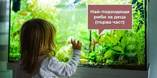 Най-подходящи риби за деца (първа част)