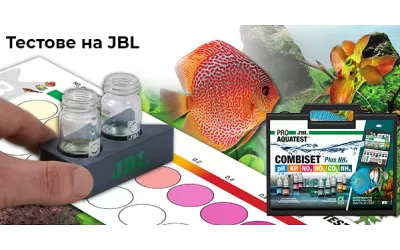 Тестове на JBL