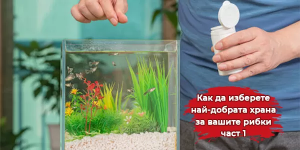 Как да изберете най-добрата храна за вашите рибки-част 1