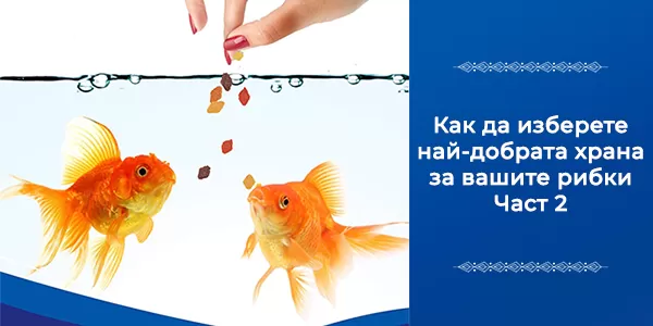 Как да изберете най-добрата храна за вашите рибки - част 2
