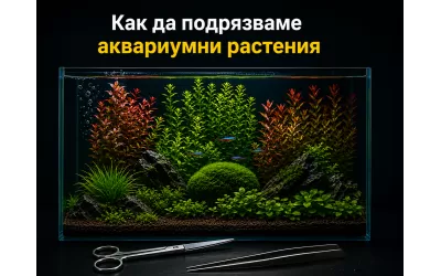 Как да подрязваме аквариумни растения