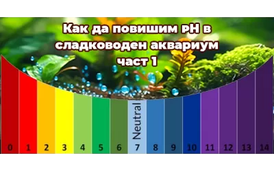 Как да повишим pH в сладководен аквариум-част 1