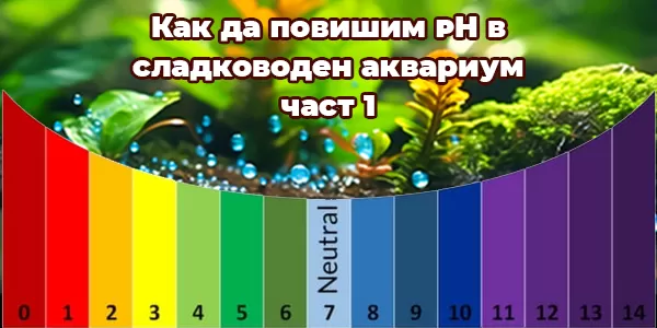 Как да повишим pH в сладководен аквариум-част 1