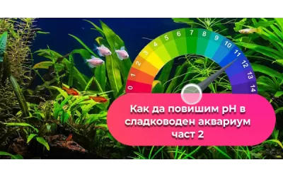 Как да повишим pH в сладководен аквариум-част 2