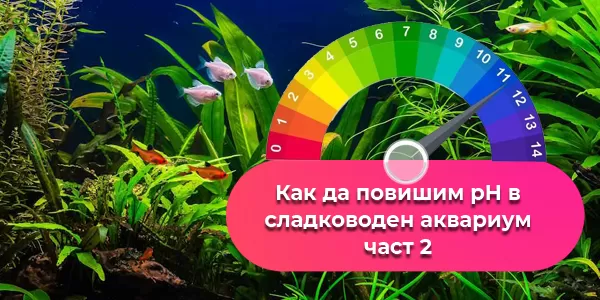 Как да повишим pH в сладководен аквариум-част 2