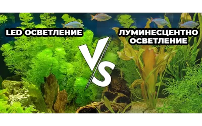 Предимства на LED осветлението пред луминесцентното