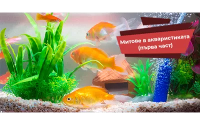 Митове в акваристиката (първа част)