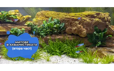 Митове в акваристиката (втора част)