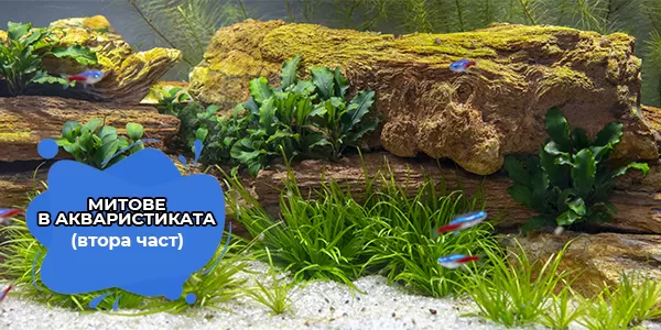 Митове в акваристиката (втора част)