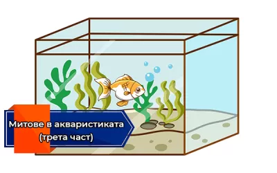 Митове в акваристиката (трета част)