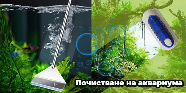 Почистване на аквариума