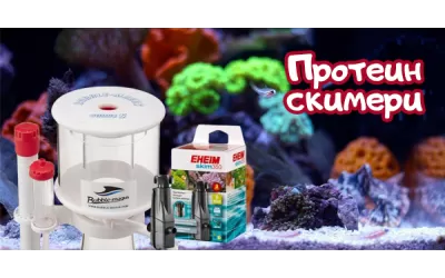 Протеин скимери