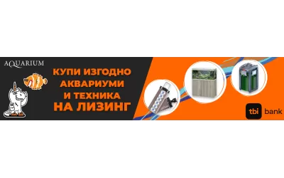 Как да поръчам продукти на лизинг