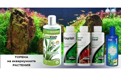 Торене на аквариумните растения