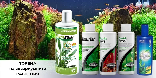Торене на аквариумните растения