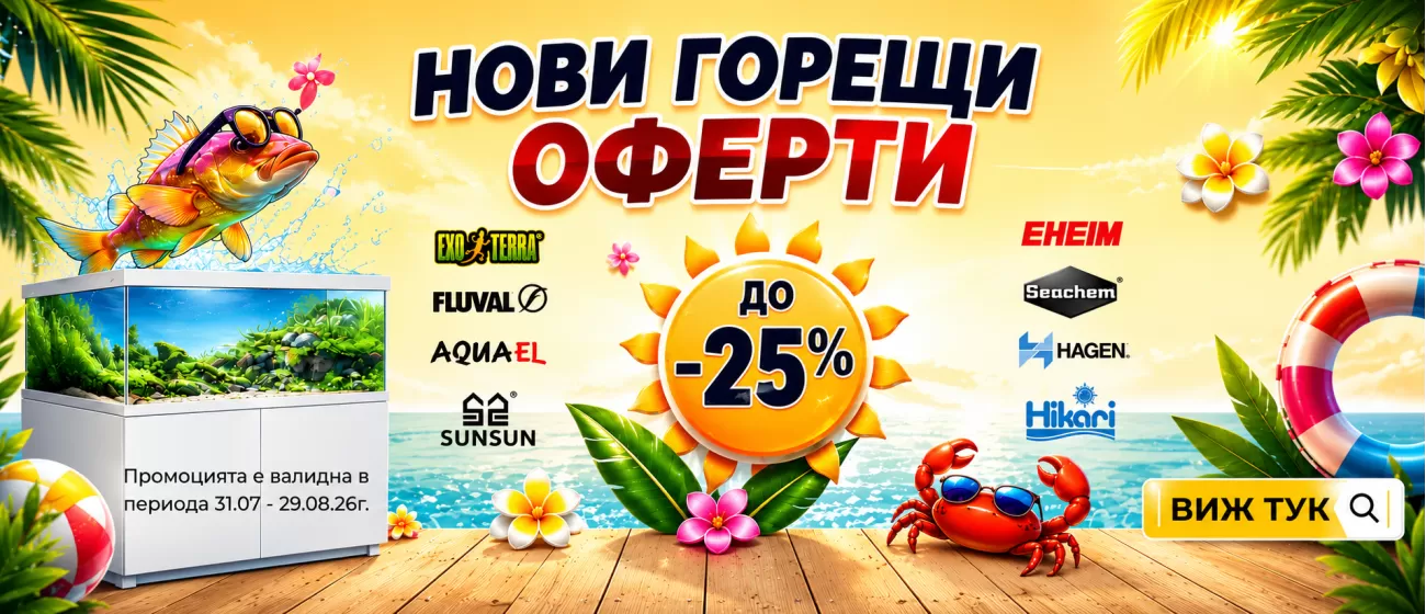 promo-august