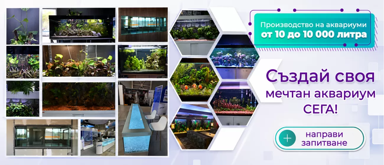 custom aquariums