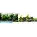 Фон за аквариум Amazonia / GreenSpike двулицев