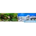 Фон за аквариум Aqua Garden / Brightstone двулицев