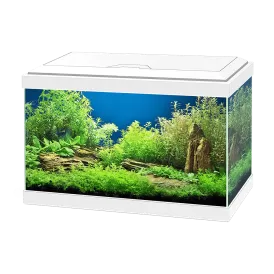 Аквариум Ciano Aqua 20 - бял